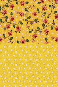 Tissu Sajou indienne Coromandel jaune et son coordonné