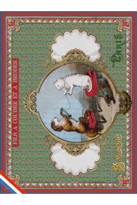 Carte postale Sajou thème mercerie Chien et Chat pelotant de la laine