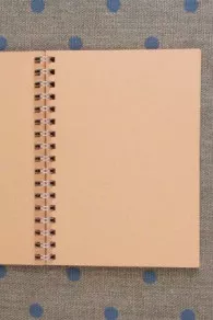 Orange inner pages of the Fil Au Chinois spiral notebook – 1915 calendar