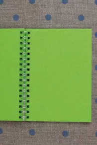 Green inner pages of the Fil Au Chinois spiral notebook – 1900 calendar