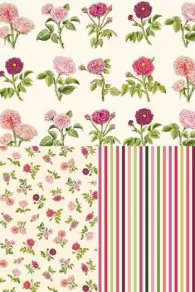 Tissu Sajou les Roses de Joséphine et ses deux coordonnés.