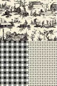 Sajou Toile de Jouy black Travaux de la Manufacture and coordinates