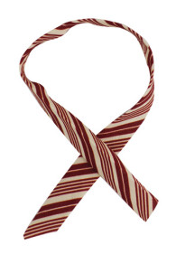 Biais coton replié 2 cm en tissu Sajou Travaux de la Manufacture bordeaux coordonné 2