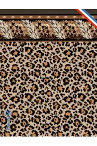 Sajou Napoleon's carpet fabric postcard