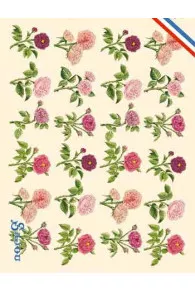 Sajou Josephine's roses postcard