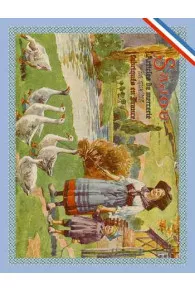 Sajou Sammelpostkarte Kurzwaren - Gänsemagd aus dem Elsass